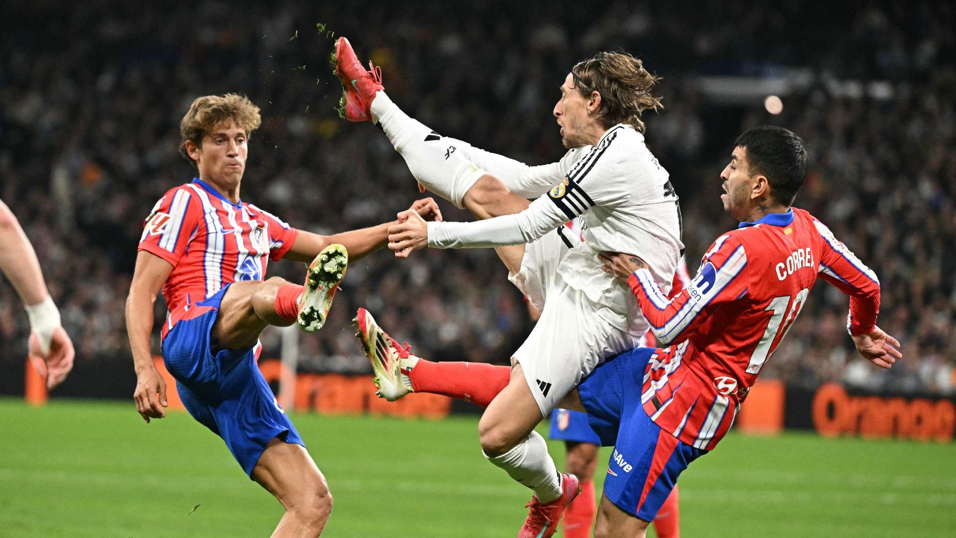 励年轻球员 励年轻球员