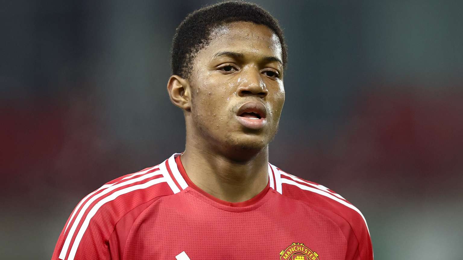 励了无数年 励了无数年